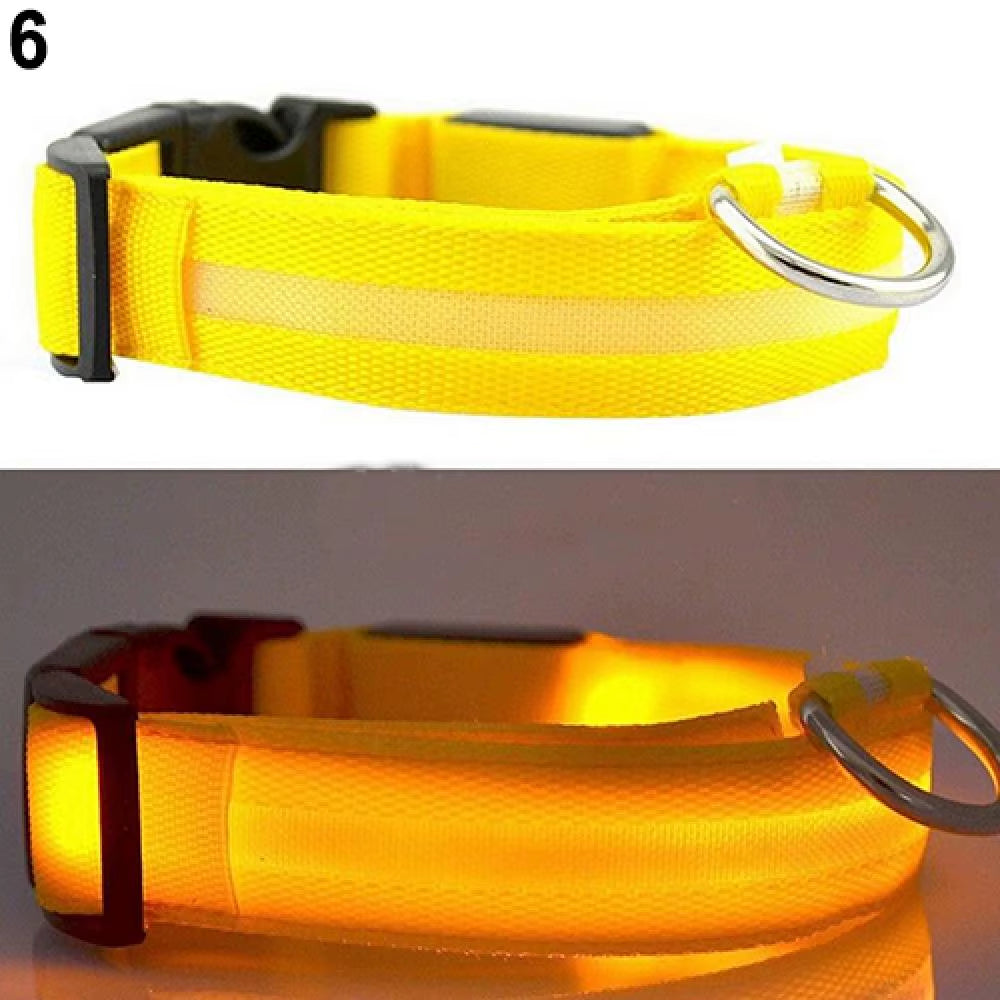 LED Dog Anti-Lost Collar Glowing Luminous LED Light Pet Collar Collar for Small Medium Large Dogs Collars Leads Safety Necklace